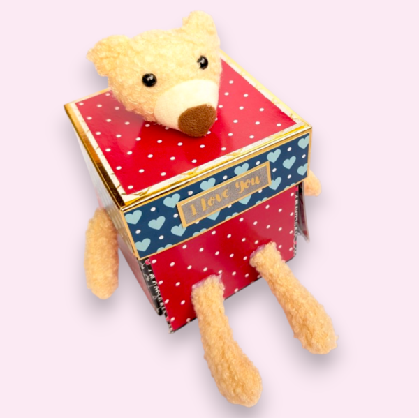 3 Layered Cute Teddy Love Explosion Box